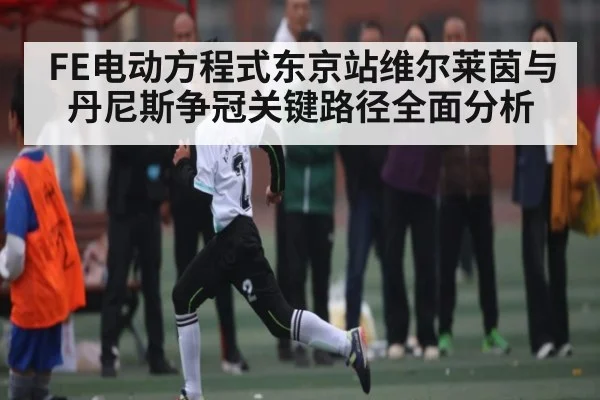 FE电动方程式东京站维尔莱茵与丹尼斯争冠关键路径全面分析